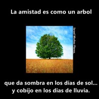 /album/so%c3%b1ando-juntos/a01-jpg/