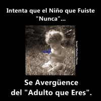 /album/so%c3%b1ando-juntos/t-jpg/