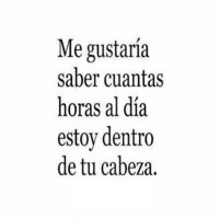 /album/un-poquito-de-todo/qw6-jpg/