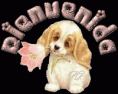 /album/gif-animados-fotos-carteles-etc-/viu1276499066x-gif/