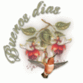 /album/fotogaleria-gif-animados-fotos-carteles-etc-/gif007-gif/