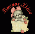/album/fotogaleria-gif-animados-fotos-carteles-etc-/buenos-dias-imagenes-animadas-gif/