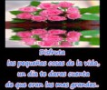 /album/so%c3%b1emos-juntos/a177565-122241267918722-2033213222-o-jpg/