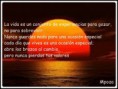 /album/so%c3%b1emos-juntos/a180270-115692475240268-124786927-n-jpg/