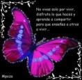 /album/so%c3%b1emos-juntos/a246406-115692801906902-207659124-n-jpg/