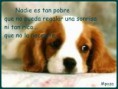 /album/so%c3%b1emos-juntos/a251820-115692838573565-2035859923-n-jpg/
